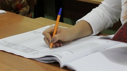 Главу воронежского села поймали на подлоге согласия депутатов о выплате ей премии