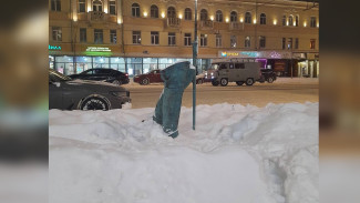 Воронежцам объяснили, почему позеленели «‎Сапоги Петра I»‎