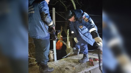 Пятеро парней потерялись на режимном объекте под Воронежем 