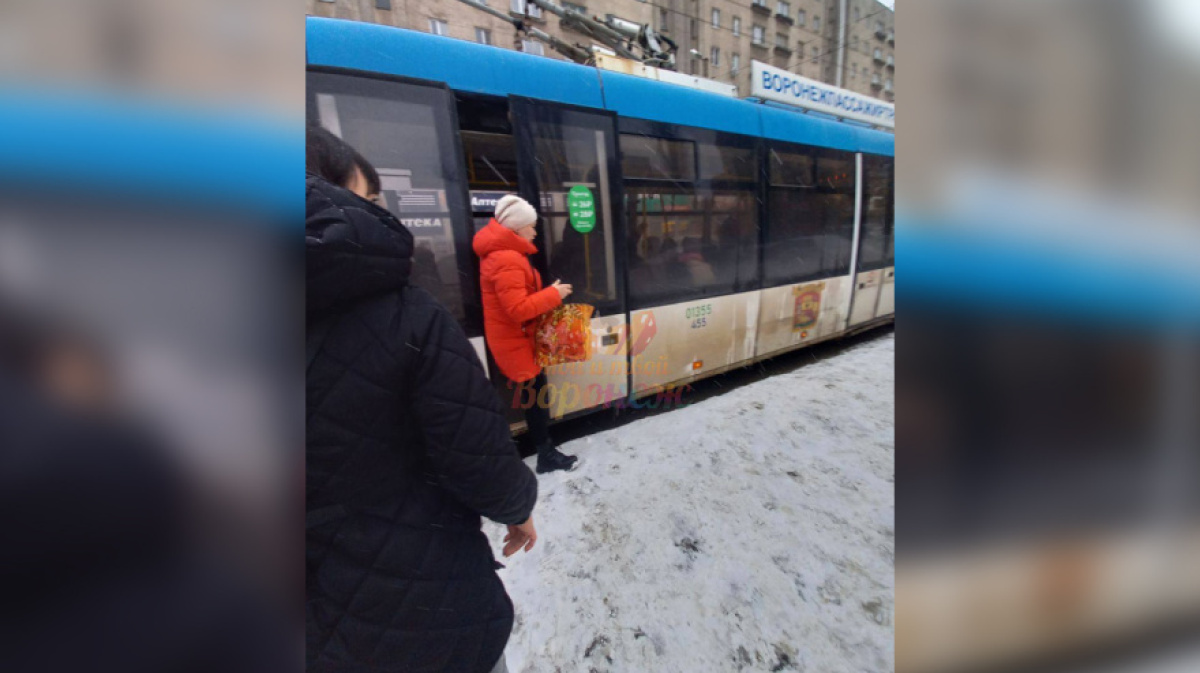 В Воронеже отстранили от работы водителя троллейбуса, зажавшего дверьми  пенсионерку | 22.02.2024 | Воронеж - БезФормата