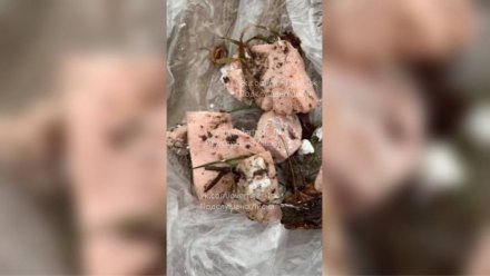 Жители Лисок забили тревогу из-за догхантеров