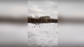 Любители тюбинга раскрыли бесплатное место для катания в Воронеже 