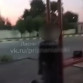 В Лисках на автобусной остановке обнаружили труп женщины