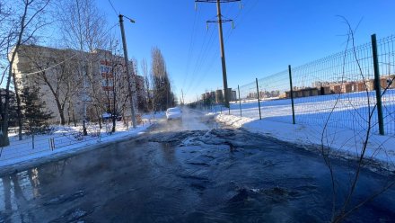 Воронежскую улицу затопило горячей водой