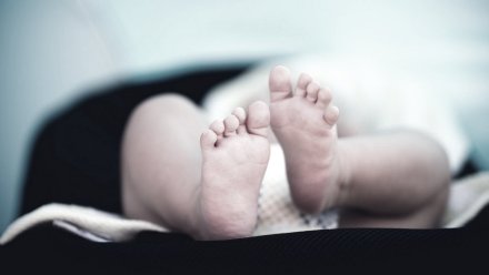 Фигурирующий в скандалах из-за смерти младенцев воронежский гинеколог решил отменить суд