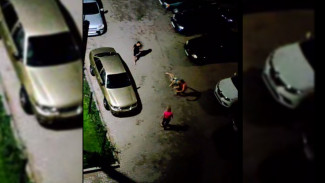 Под Воронежем неизвестные избили девушку и за волосы затащили в автомобиль