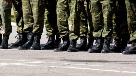 Воронежцев предупредили о фейковых сообщениях о второй волне мобилизации в России