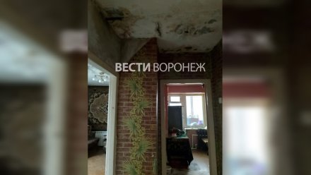 Воронежский СК возбудил дело после жалоб семьи с 4 детьми на жильё с чёрной плесенью