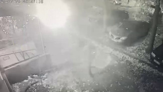 В Воронеже пенсионер-рецидивист спалил Ford Focus под камерами