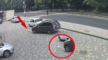 Полиция установила личность водителя, задавившего кота на парковке в Воронеже