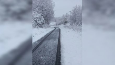 Когда в Воронежской области закончится апрельский снегопад?