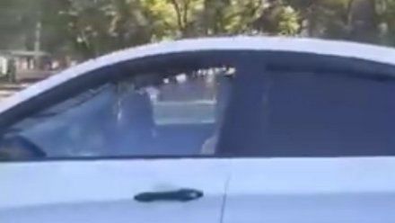 Посадившего ребёнка за руль воронежца наказали после видео в соцсети