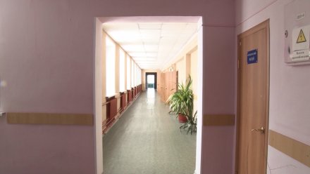 В воронежских школах проверят охрану после убийства ребёнка в Одинцово