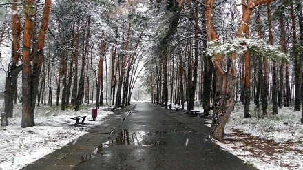 Мёртвого парня нашли в воронежском парке «Алые паруса»