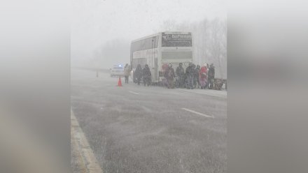 На воронежской трассе в метель застрял автобус с 65 пассажирами