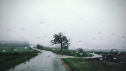 Последняя неделя августа в Воронеже будет прохладной