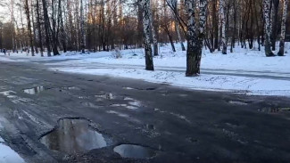 Воронежцы сняли на видео «дырявую» дорогу возле студгородка технического университета