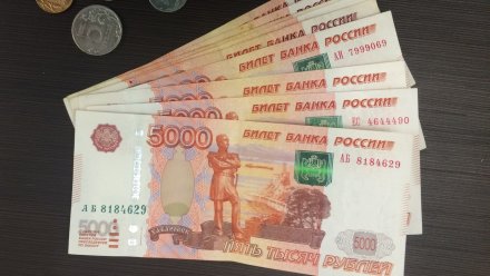 Сотрудницы воронежского ателье пожаловались на трёхмесячную задержку зарплаты