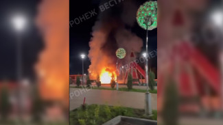 Появилось видео пожара на детской площадке после атаки дронов ВСУ в Борисоглебске
