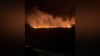 Лесные пожары на воронежской трассе показали на видео