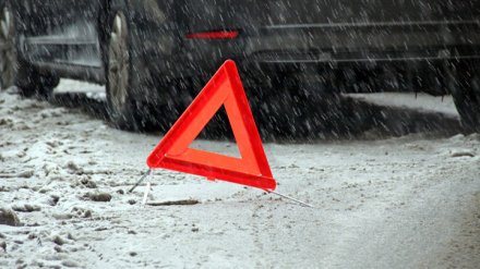 В Воронежской области иномарка вылетела под фуру: погиб пассажир