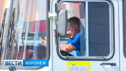 Правый и левый берег Воронежа свяжет новый маршрут