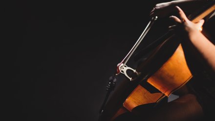 Воронежцы пожаловались на отмену концерта оркестра Muse