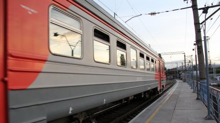 Швырнувшая малышку в поезде мать из Воронежа избежит серьёзного наказания