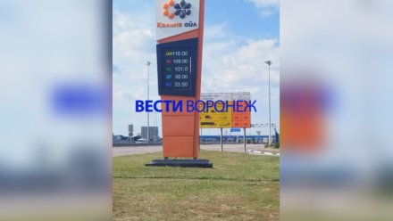 Власти опровергли резкий рост цен на топливо в Воронежской области в ближайшее время