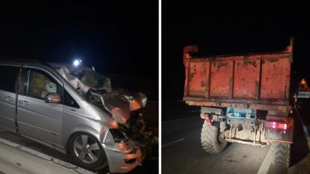 Водитель минивэна влетел под грузовик на воронежской трассе и погиб