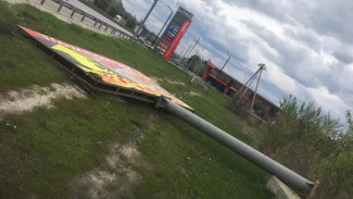 Под Воронежем упавший в оживлённом месте билборд убил собаку