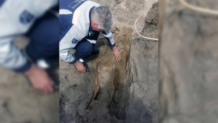 В Нововоронеже рядом с АЭС нашли останки красноармейца