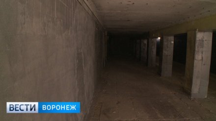 Власти Воронежа подготовились к поиску инвестора для реконструкции подземных переходов