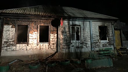 Гибель 2 взрослых и малыша на пожаре в воронежском селе привела к уголовному делу