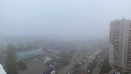 В Воронежской области продлили жёлтый уровень погодной опасности из-за густого тумана