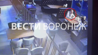 Устроившим смертельное ДТП с выпускницей ВГУ оказался сын сотрудницы воронежской ФНС