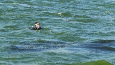 В Воронежском водохранилище утонули двое мужчин