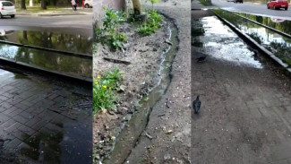 Воронежцы пожаловались на охвативший целый район запах стоков из канализации