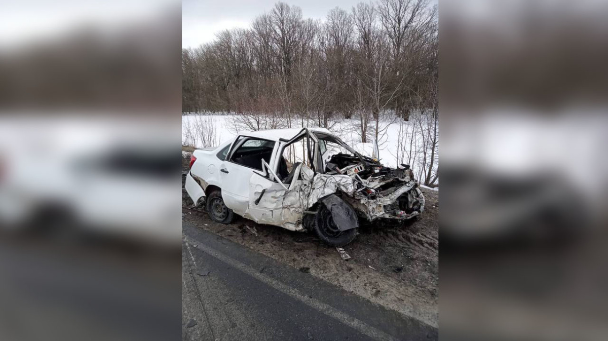 Женщина и двое её детей погибли в ДТП в Воронежской области – Новости  Воронежа и Воронежской области – Вести Воронеж