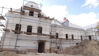 Воронежцам рассказали о тайнах Дома Гарденина