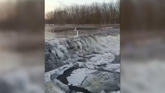 Глава сельского поселения назвал причину затопление участка трассы Воронеж – Луганск