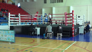 Около 200 человек съехались в Воронежскую область на турнир по боксу