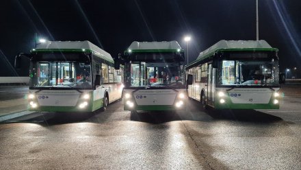 В Воронеже с 1 декабря изменятся пять маршрутов общественного транспорта