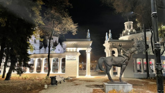 В Воронеже девушку оштрафовали на 30 тысяч за прогулку с плакатом возле «Орлёнка»