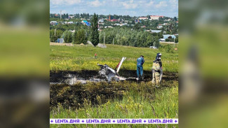 Семья из Воронежа разбилась на лёгкомоторном самолете в Татарстане