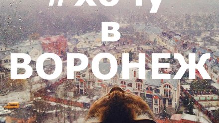 35 лучших фото воронежцев из соцсетей за неделю