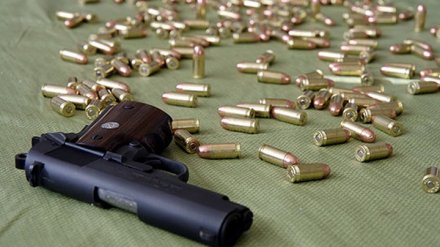 Под Воронежем женщину-инвалида осудили за покупку пистолета и патронов