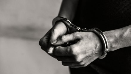 Четверо воронежцев похитили человека и вывезли его к границе