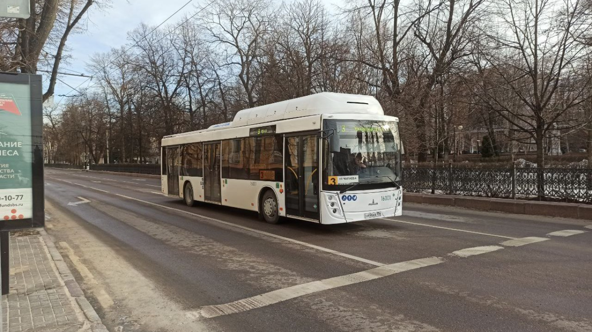 На улицах Воронежа появились новые автобусы большого класса | 01.01.2024 |  Воронеж - БезФормата