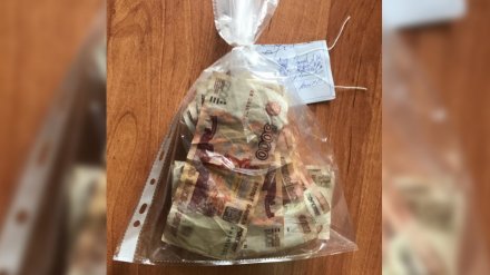 В Воронеже осудили парня, пытавшегося выкинуть поддельные купюры в канализацию